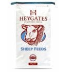 FLOCKMASTER 18% Protein EWE NUTS 20KG