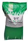 VERSAMAX GRASS SEED PERMANENT PASTURE *WITH CLOVER* 20KG 