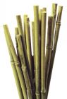 Bamboo Canes