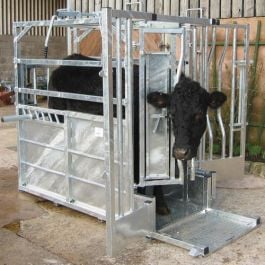 Crusader Plus Cattle Crush - Manual Yoke Removable Sides