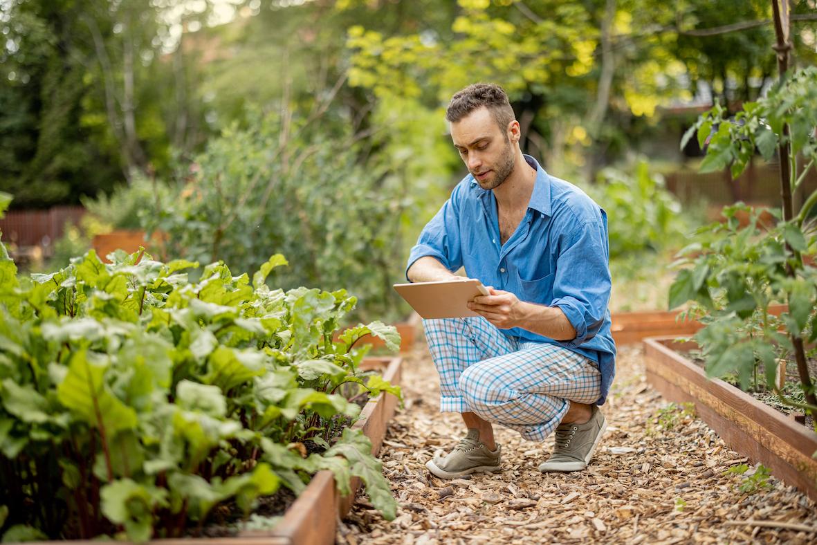 7 Top Gardening Tips to Spruce Up Your Garden This Spring