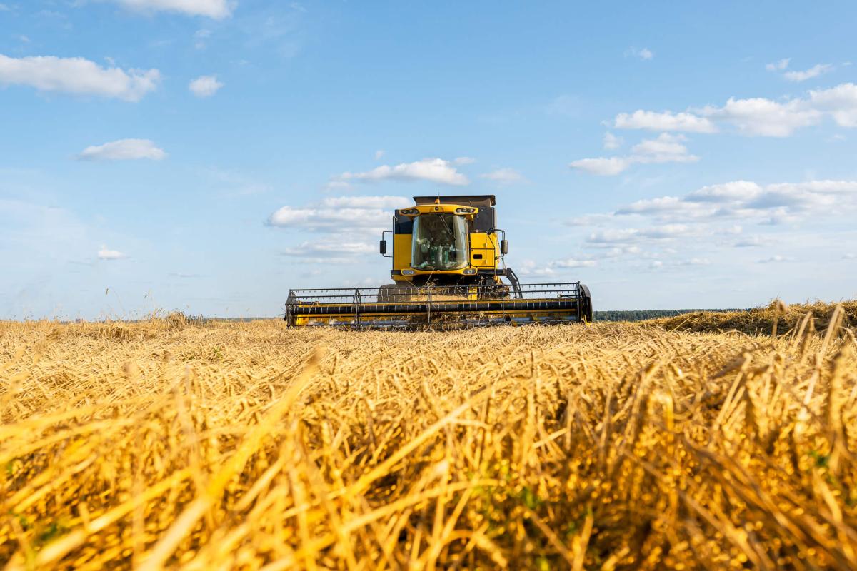 Harvest season essentials: a farmer's guide to choosing the right products