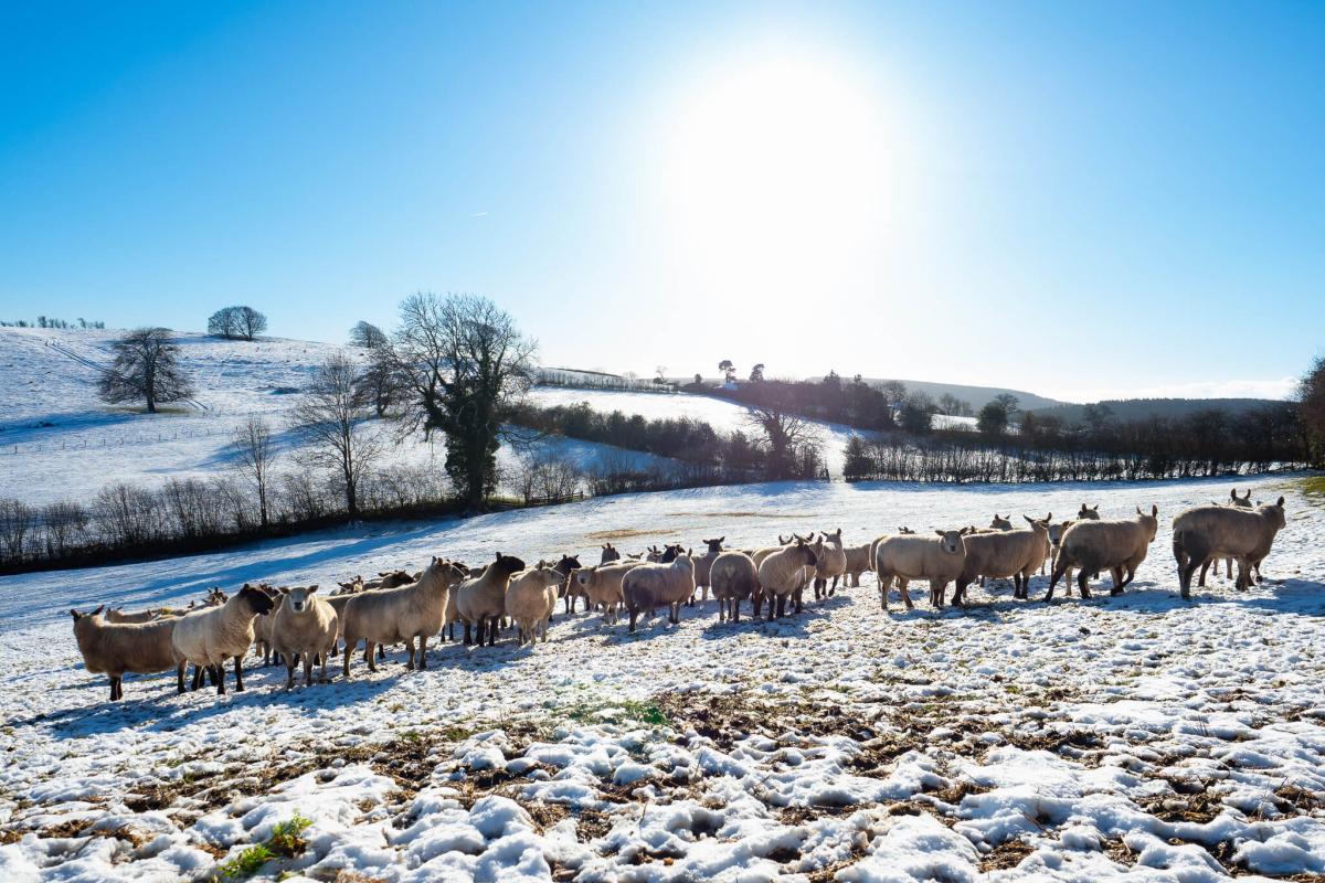 Winter farm safety: Six essential checks for a safer season